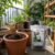 Organic Soil Fertilizer – Natural Compost for Healthy Home Gardening