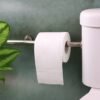 2-Ply Toilet Roll – Ultra-Soft with 250 Sheets for Comfort