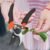 Garden Pruners – Sharp, Ergonomic Grip | Grow Garden Tools