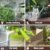 High-Pressure Water Spray Nozzle – Zinc Alloy | Grow Garden Tools