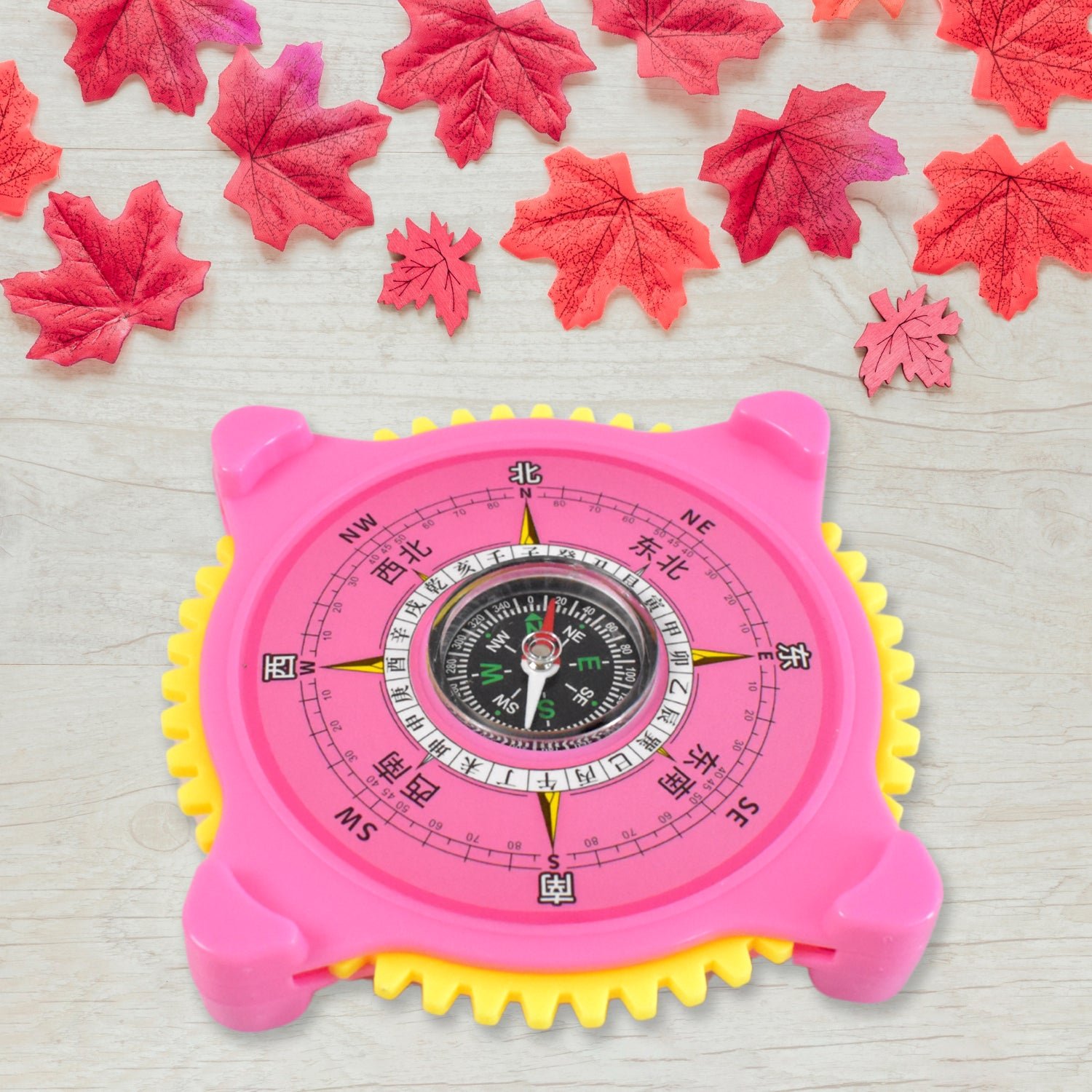 North-South Navigation Compass with Built-in Clock – Durable Adventure Gear