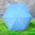 5-Fold Umbrella – Compact & Windproof with Capsule Case | DrizzlePro