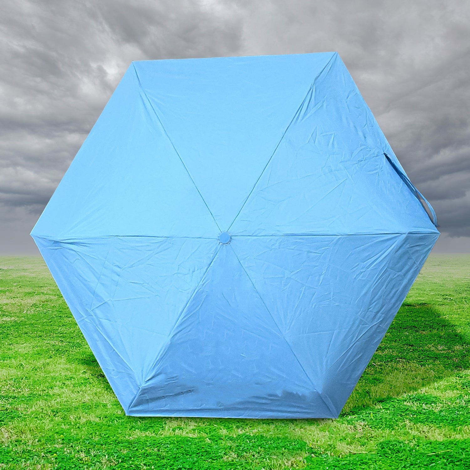 5-Fold Umbrella – Compact & Windproof with Capsule Case | DrizzlePro