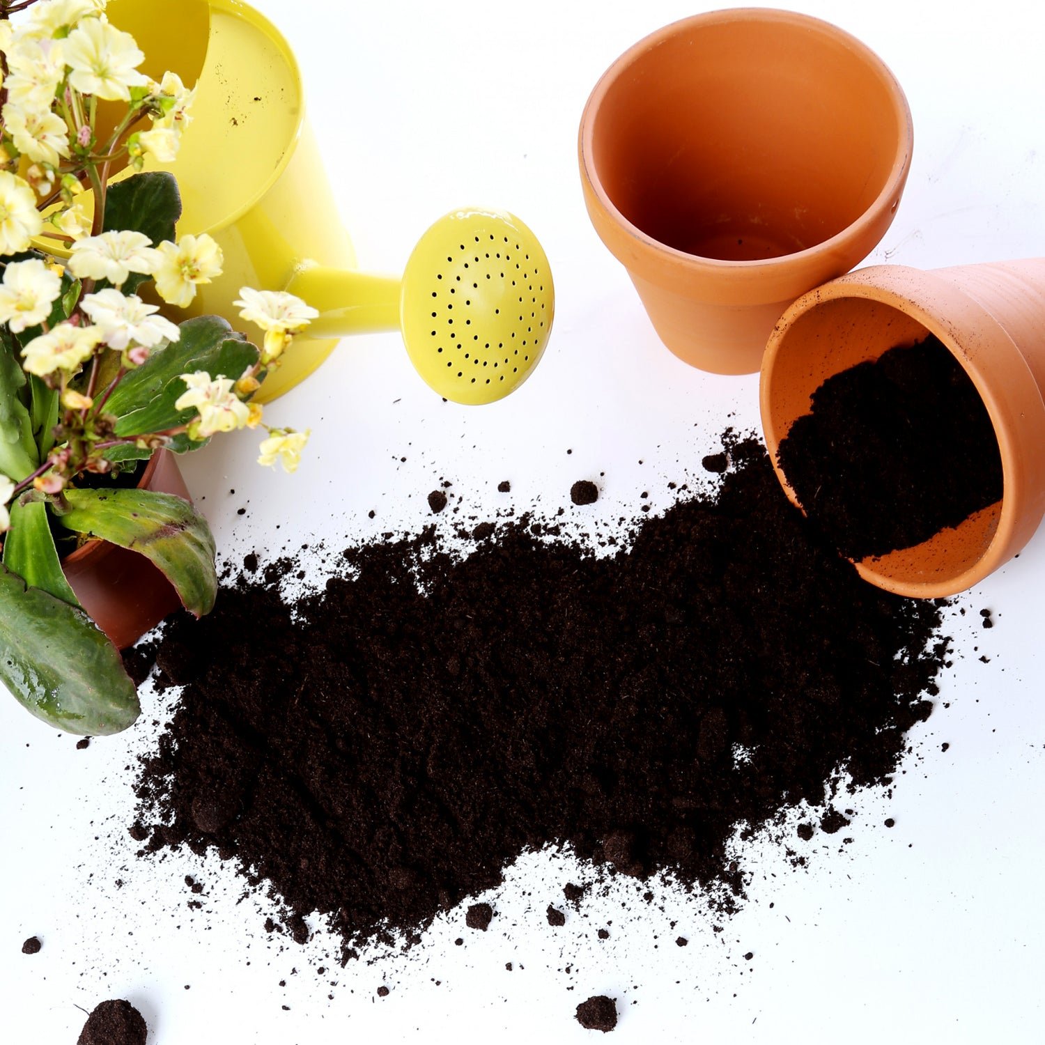 Organic Vermicompost – 1 KG Black Soil Manure for Plants | Grow Vanta