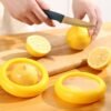 Vegetable & Fruit Saver – Freshness Keeper for Kitchen | Organivo