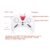 Remote Control Helicopter for Kids – USB Chargeable Toy | Spark Tots