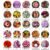 Flower Seeds Combo – 20 Varieties for Vibrant Gardens