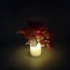 LED Diwali Lights – 12 Pc Wireless Home Decor Set | Velvet Wheels