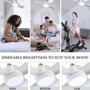 Ceiling Fan & LED Light – Space-Saving Cooling & Bright Illumination