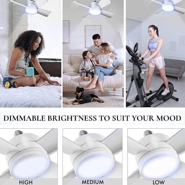 Ceiling Fan & LED Light – Space-Saving Cooling & Bright Illumination