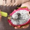 Fruit Baller & Scooper Set – 4-in-1 Stainless Steel | ChefAura