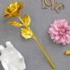 Golden Rose Gift Set – Luxury Rose Almonds Combo
