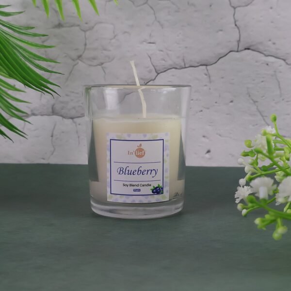 Blueberry Scented Candle – Soy-Blend Votive in Glass, 50gm