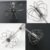 Stainless Steel Egg Whisk – Hand Push Rotary | Quickslice