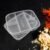 5 Compartment Lunch Box – Reusable Food Prep Container | Lunchie Bunchie