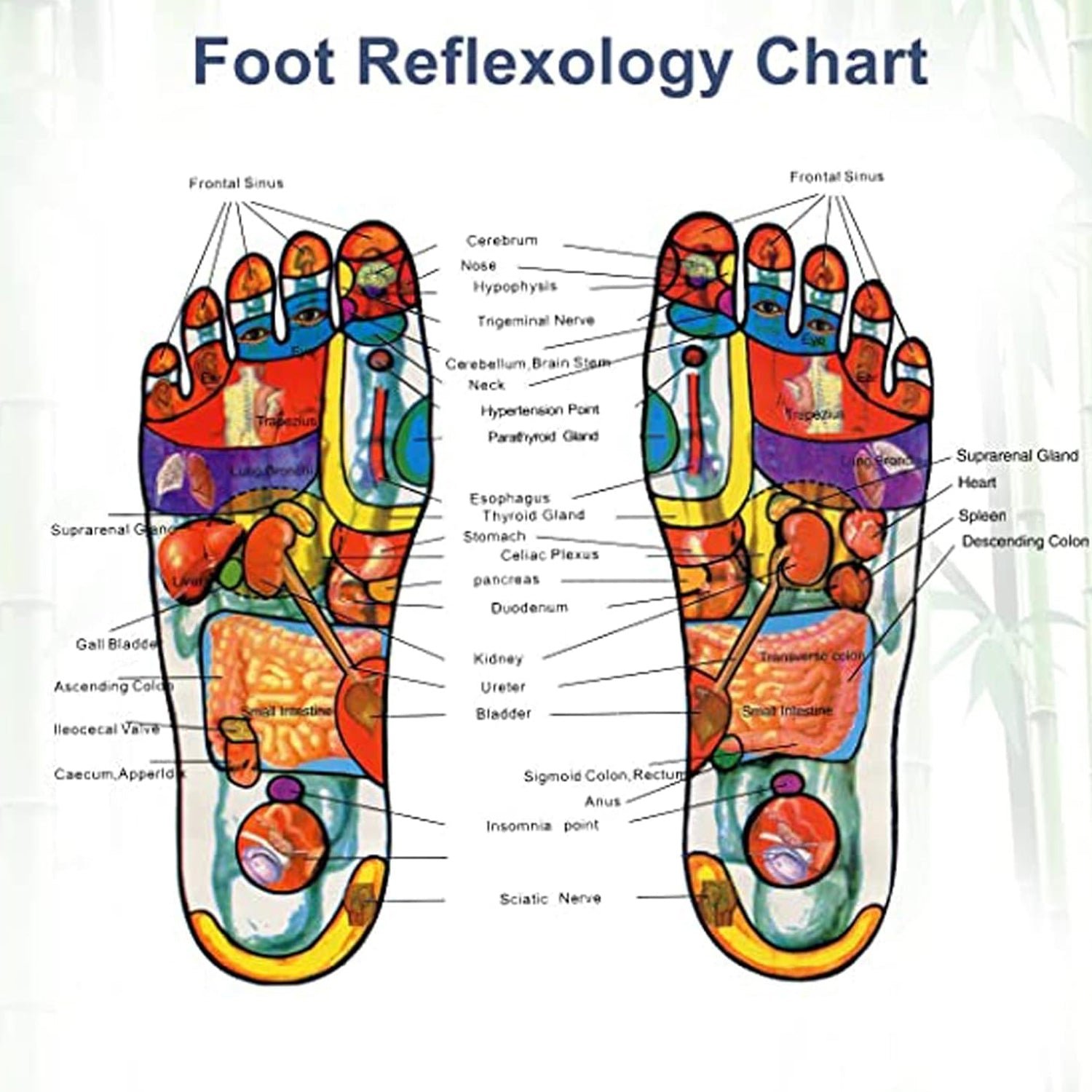 Detox Foot Pads with Ginger & Salt – 10 Pcs | Velvet Wellness