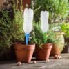 Plant Watering Spikes – Adjustable Slow Release | Grow Garden Tools