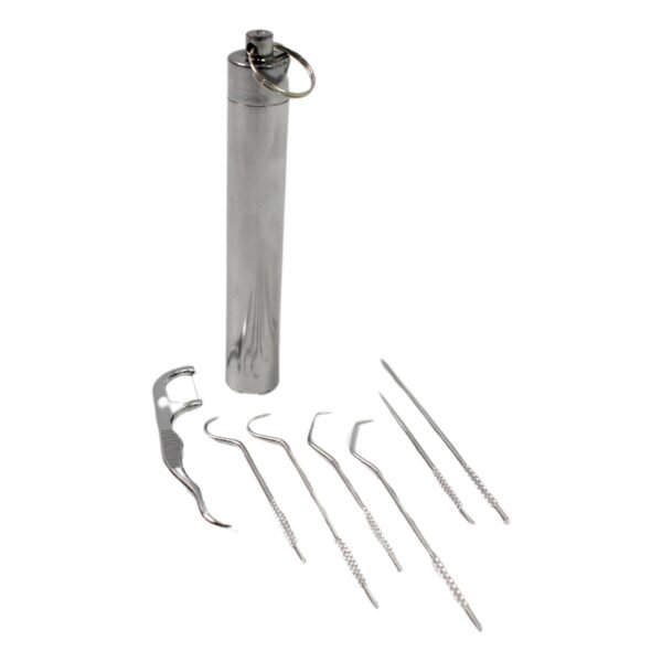 Stainless Steel Toothpick Set – 7-in-1 Portable Dental Kit | AuriGlam