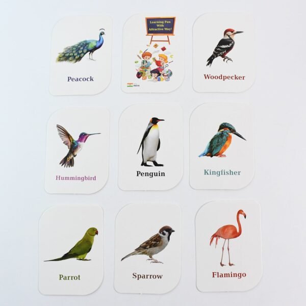 Bird Flashcards – 32 Realistic Educational Cards for Kids
