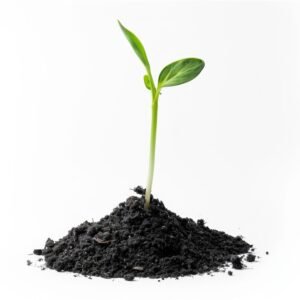 Organic Vermicompost – 1 KG Black Soil Manure for Plants | Grow Vanta
