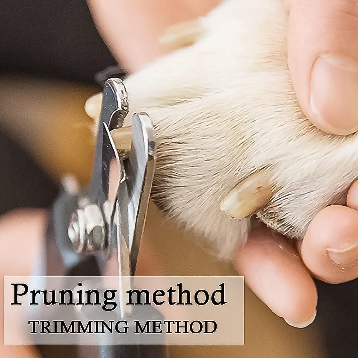 Pet Nail Clipper – Safe & Comfortable Grooming Kit for Dogs & Cats