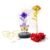 Glass Dome Rose Romantic Gift Set – Elegant LED Décor