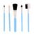 Makeup Brushes Kit – 5-Piece Soft Synthetic Set | BeautyBare