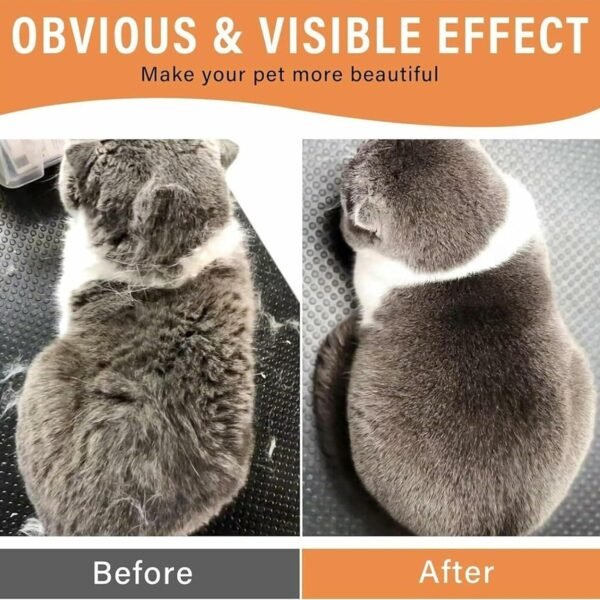 Electric Pet Steam Brush – Hair Removal & Massage | Calm & Curl