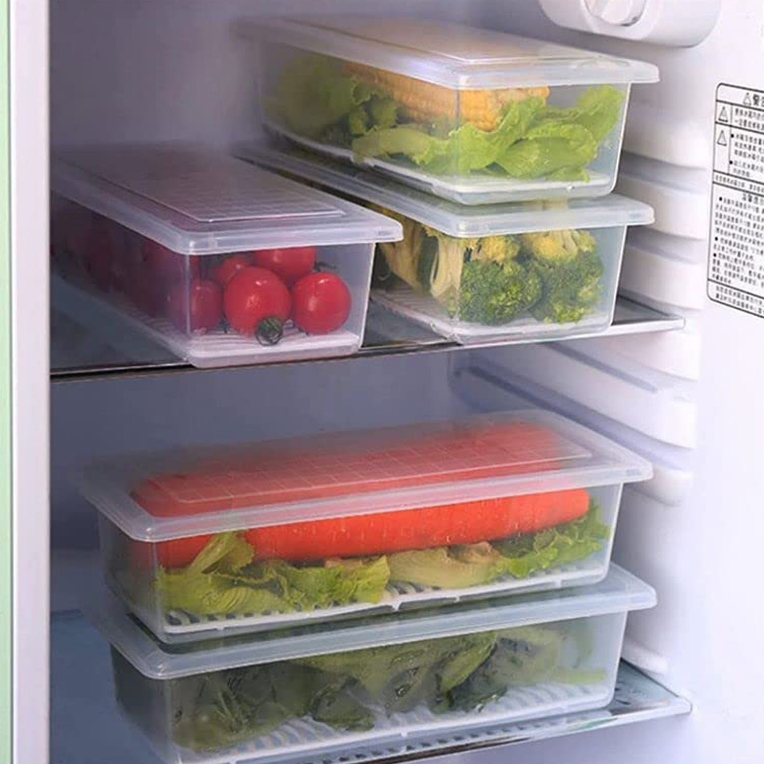 Freezer Storage Containers – 6-Pack 1500ML with Drain Plate | Organivo