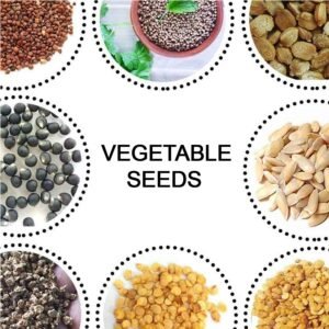 Vegetable Seeds Combo – 15 Varieties for Home Gardening