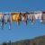 Cloth Drying Wire – 10M PVC Coated Steel | Grow Vanta