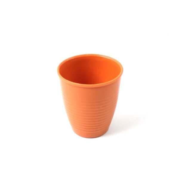 Plastic Small Drinking Glass – Lightweight Durable Tumbler