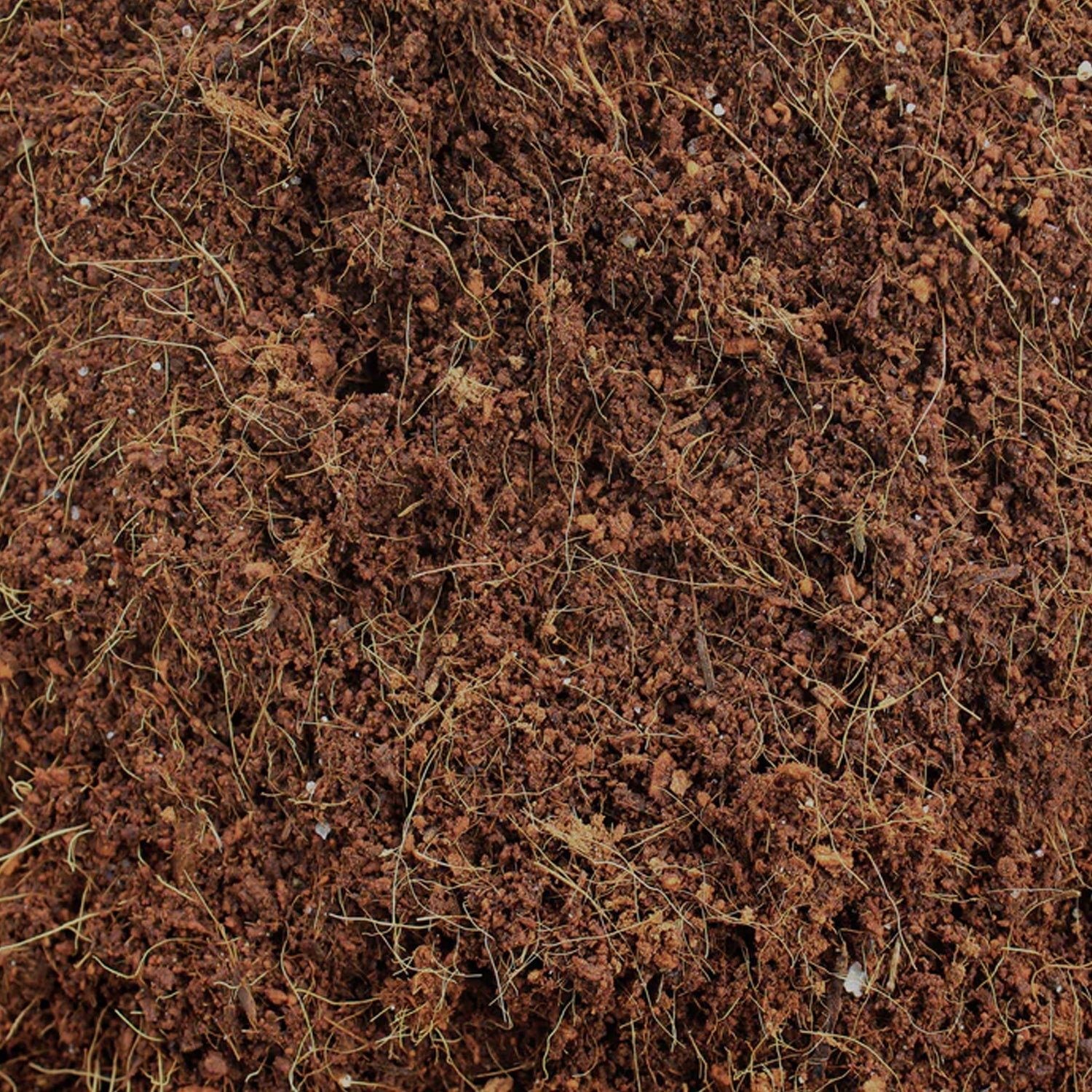 Organic Cocopeat Block – 1 KG Potting Mix for Plants | Styleva