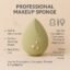 Makeup Sponge – Flawless Blending & Soft Texture | BeautyBare