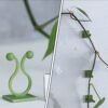 Plant Climbing Clips – Self-Adhesive Wall Support | Grow Vanta