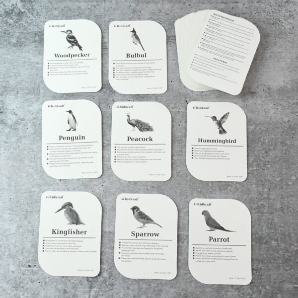 Bird Flashcards – 32 Realistic Educational Cards for Kids