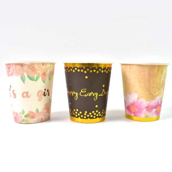 06_ac285f67-62e1-4795-86a4-a1f35a2ab950 Disposable Paper Cups – Mixed Colour 3 Pcs Set | hydrozilla