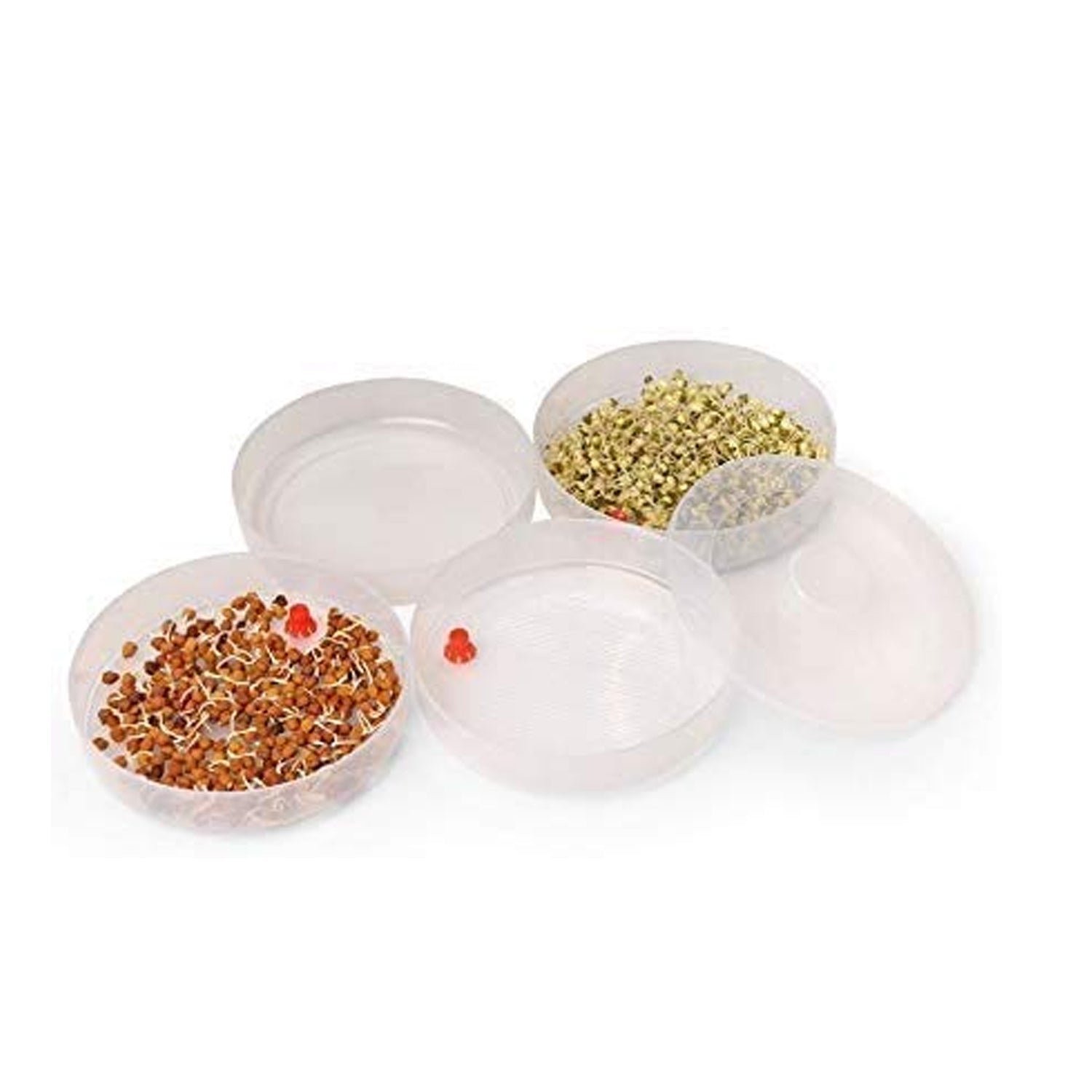 Sprout Maker 4 Compartment – Fresh & Healthy Sprouts | Tidy Table