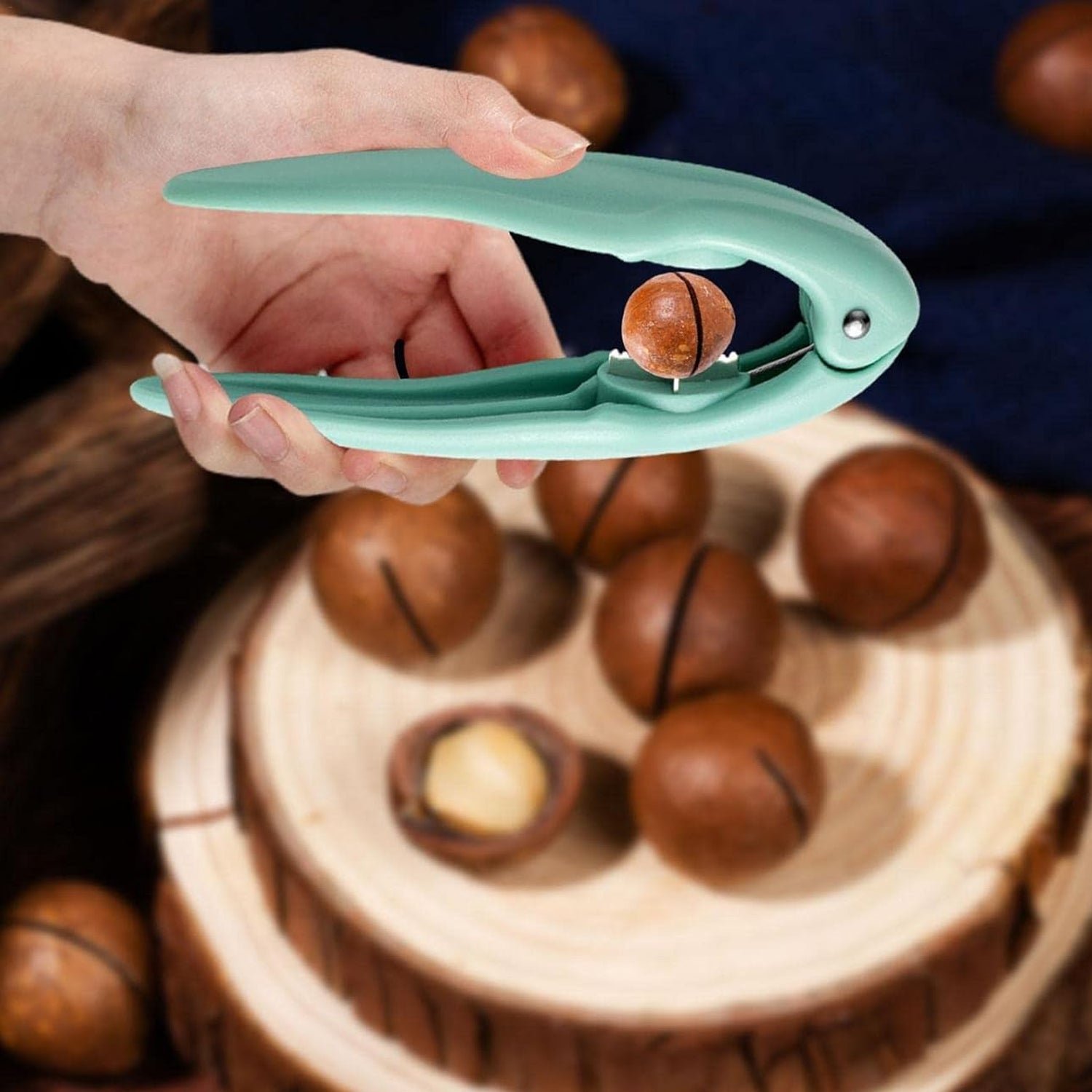 Nutcracker Chestnut Opener Clip – Efficient Stainless Steel Nutcracker