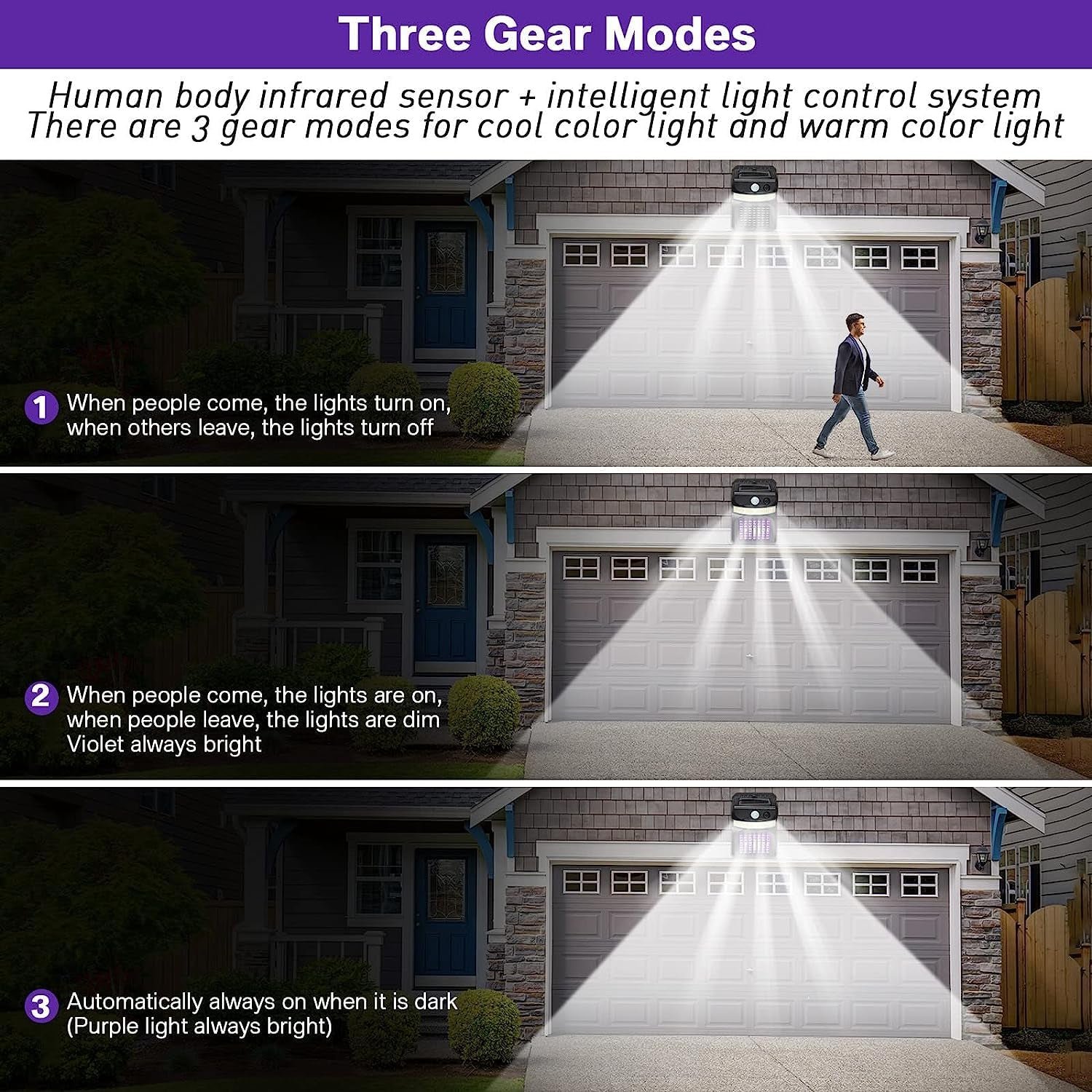 Solar Bug Zapper – 2-in-1 Motion Sensor Light | Garden Vera