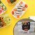 Plastic Lunch Box Set – 3-Piece Square Storage | Konvex