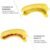 Banana Case – Durable, Ventilated & Portable | Lunchie Bunchie
