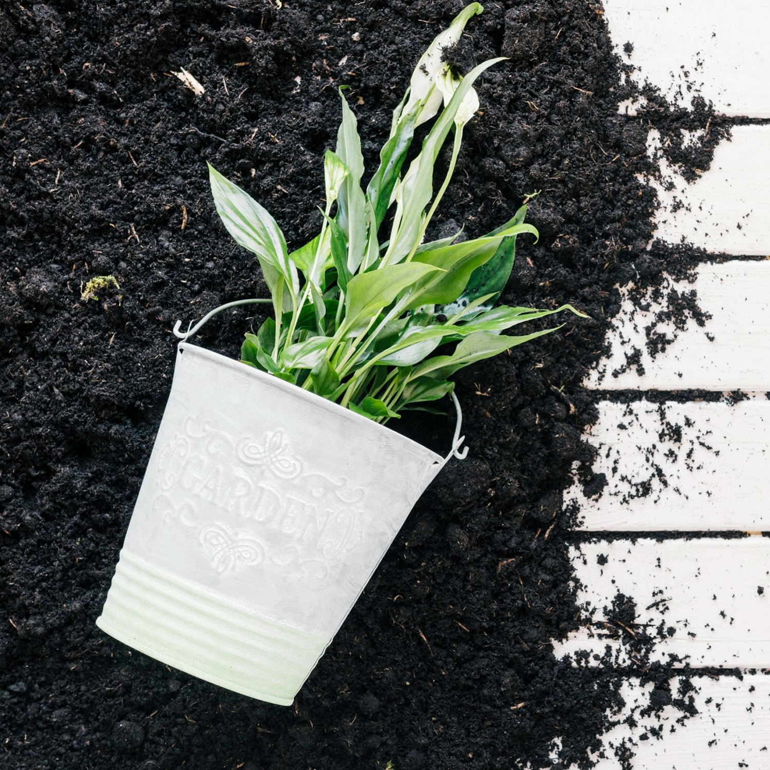 Organic Vermicompost – 1 KG Black Soil Manure for Plants | Grow Vanta