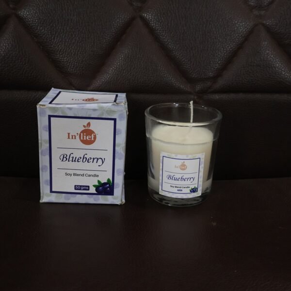 Blueberry Scented Candle – Soy-Blend Votive in Glass, 50gm