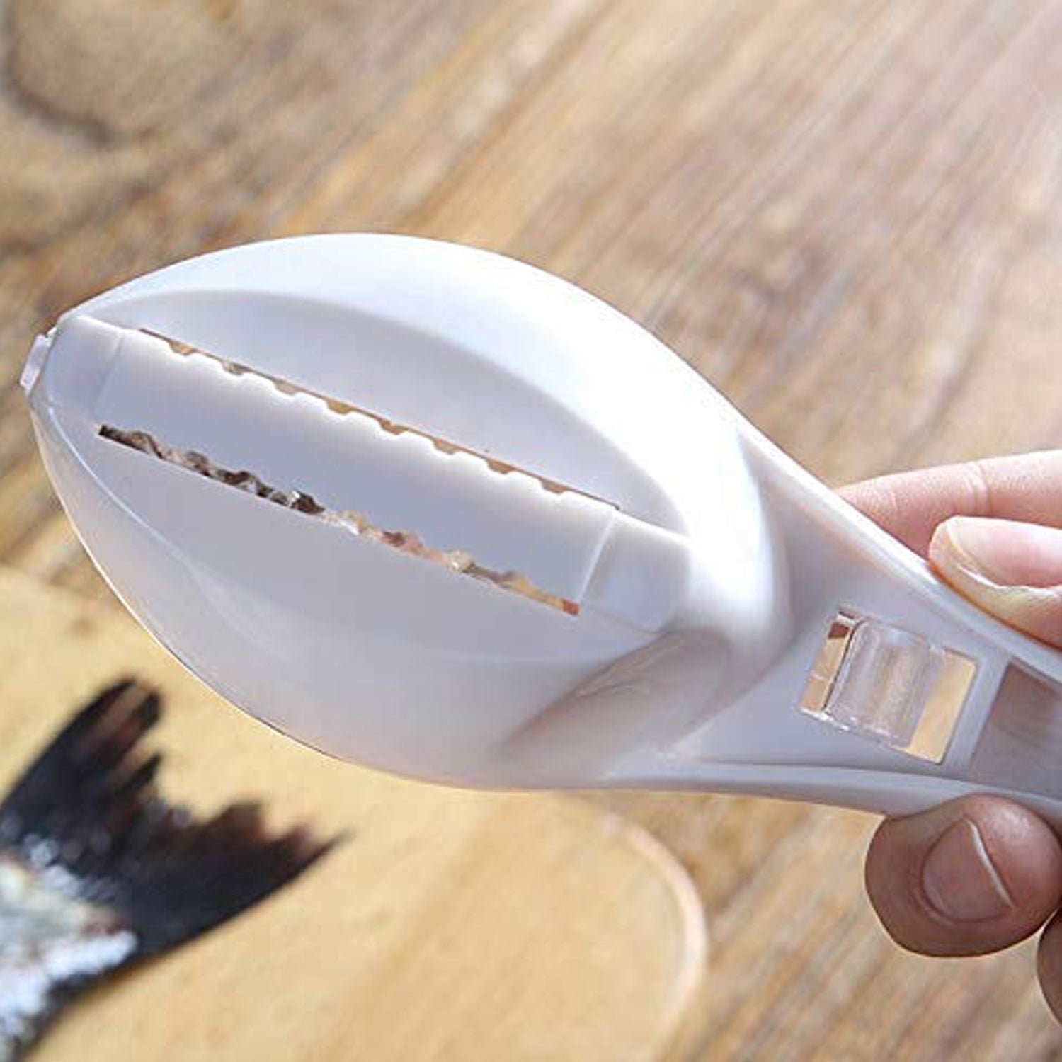 Fish Scale Scraper – Mess-Free Descaling Tool | Quickslice