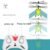 Remote Control Helicopter for Kids – USB Chargeable Toy | Spark Tots