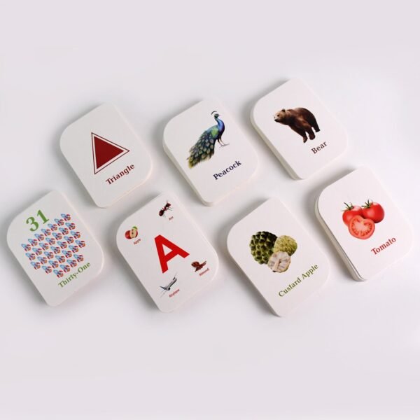 Early Learner Flashcard Set – 224 Durable Educational Cards