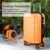 Suitcase Wheel Covers – Noise Reduction & Protection | Packory
