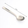 Stainless Steel Dining Spoon – Ergonomic, Mirror Finish