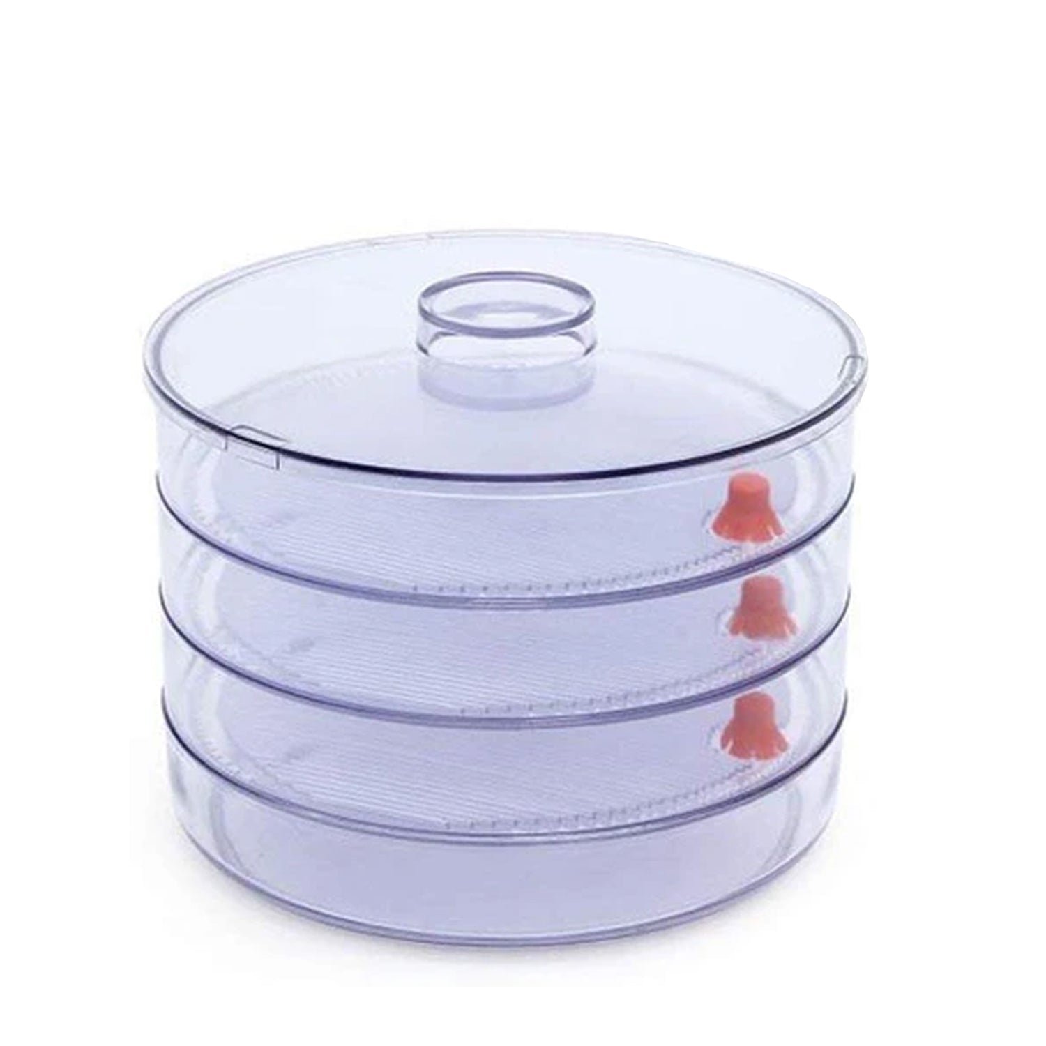 Sprout Maker 4 Compartment – Fresh & Healthy Sprouts | Tidy Table